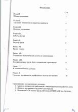 Коллективный договор ДК им. Артема на 2024-2027 г.г., стр. 2, Оглавление