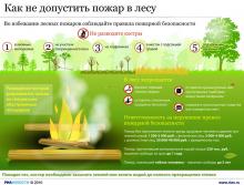 Памятка: как предотвратить пожар в лесу